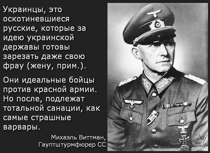 В нем они могут. Немец о украинцах Михаэль Виттман. Высказывания немцев о украинцах. Высказывания немцев о русских. Высказывания о фашизме.